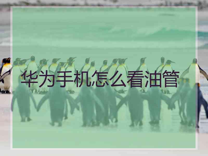 华为手机怎么看油管