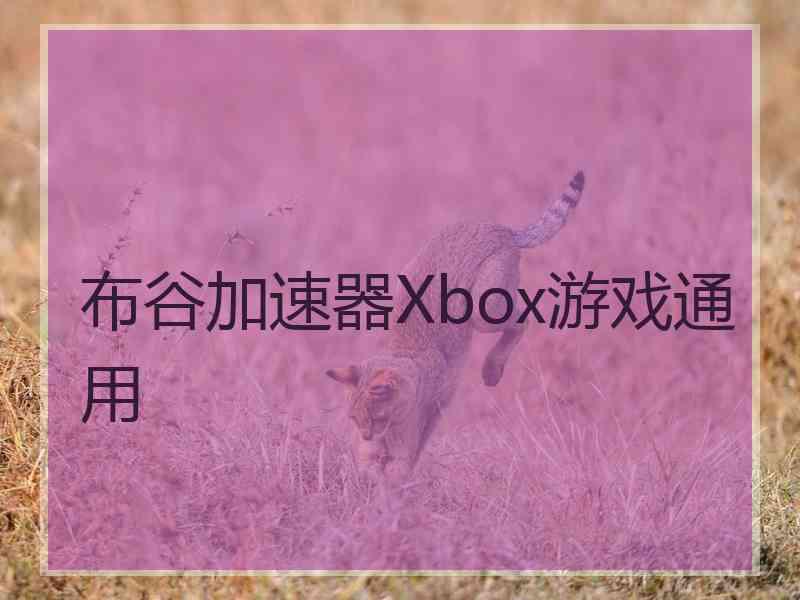 布谷加速器Xbox游戏通用
